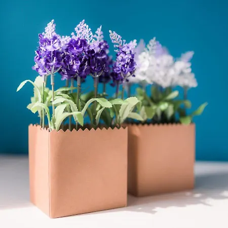 여관 Carducci Bistrot 토리노